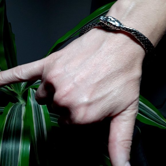 The Sophia Serpent Bangle by Alchemy of England - Picture 8 of 9